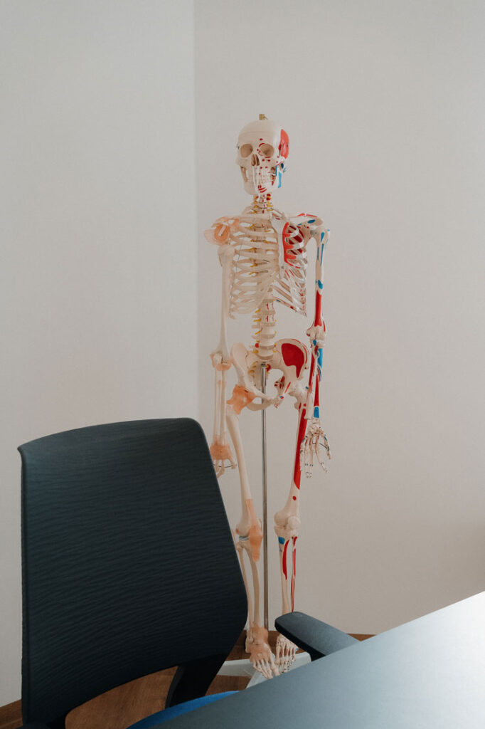 Aufnahme eines menschlichen Skeletts, welches sich im Therapieraum befindet.